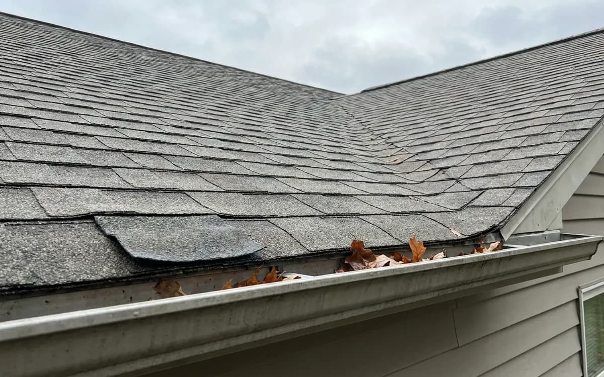 Asphalt-shingle roof eave with a lifted shingle edge and leaves in the gutter