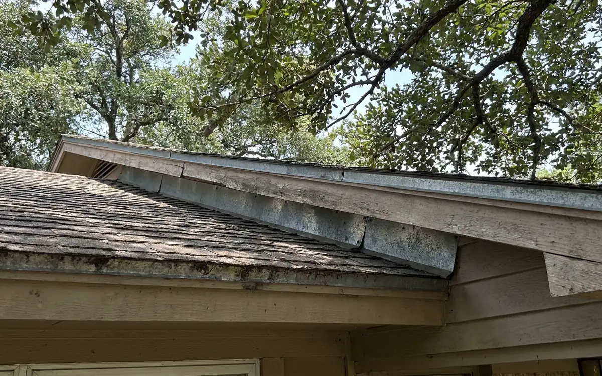 Visible roof edge and flashing details beneath tree canopy
