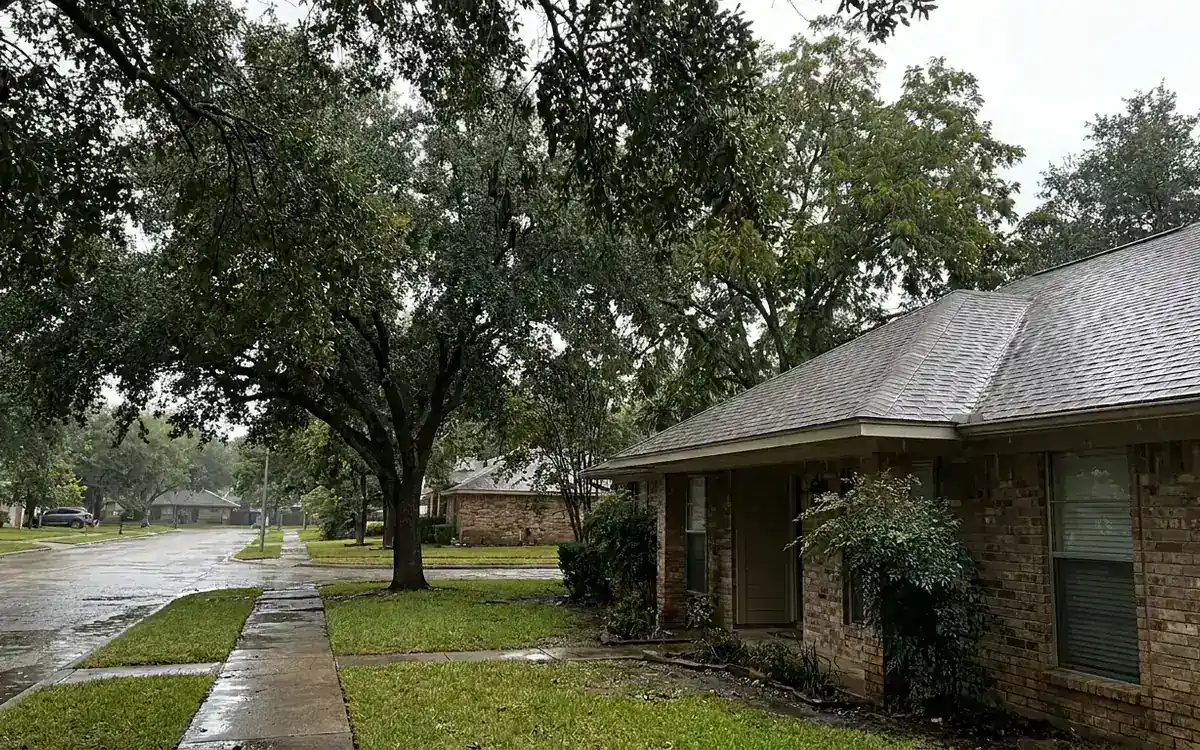 Rain-damp tree-lined suburban roofline viewed from sidewalk