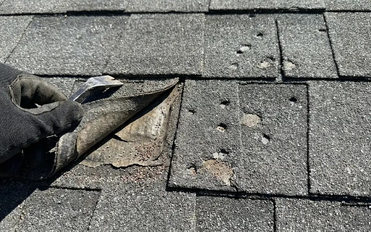 Hail-marked shingles and a wind-lifted shingle edge during a storm inspection