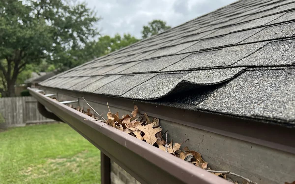 Lifted asphalt shingle edge above a rain-darkened gutter with scattered leaf debris after a storm